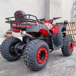 10 Inch Tire Size Customized Logo 200cc 250cc ATV Adult 4 Wheel UTV Off-Road