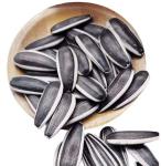 Amazon hot sale Wholesale of high-quality sunflower seed raw materials for oil