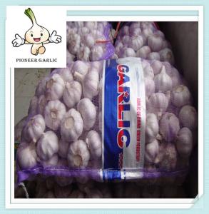 China Hot selling garlic High Quality garlic Fresh Garlic 2016 wholesale