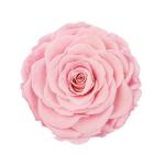 Home Decor Preserved Rose Heads Creative Household Decorative Furnishings