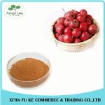 Anti Aging Fresh Hawthorn Extract Hawthorn Flavones