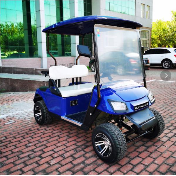 Export EV 2 Seater Golf Cart 48V 3.5KW AC System Good Quality Golf Trolley