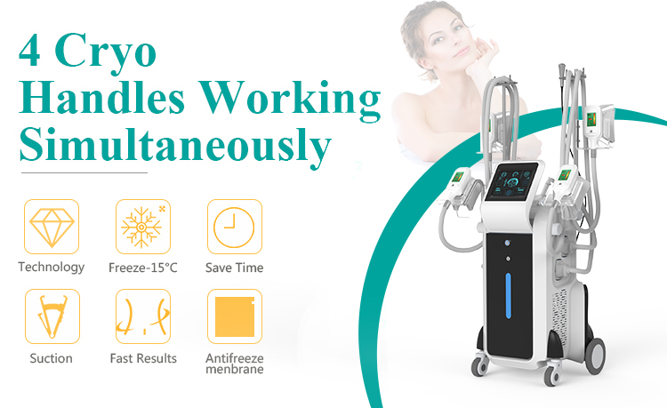 Weight Loss Double Cryotherapy Fat Freeze Pdt Cryoshape Fat Freezing Machine Nubway