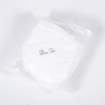 Professional Lower Price Kn95 Disposable Earloop Face Mask