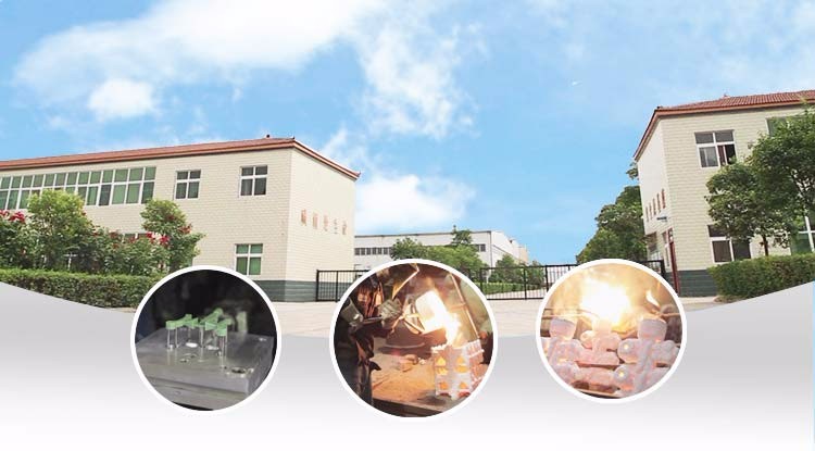 Precision Carbon Steel Investment Casting Parts with Machining and Polishing Process