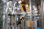 1000 BPH Beer Wine 3 In 1 Carbonated Drink Filling Machine