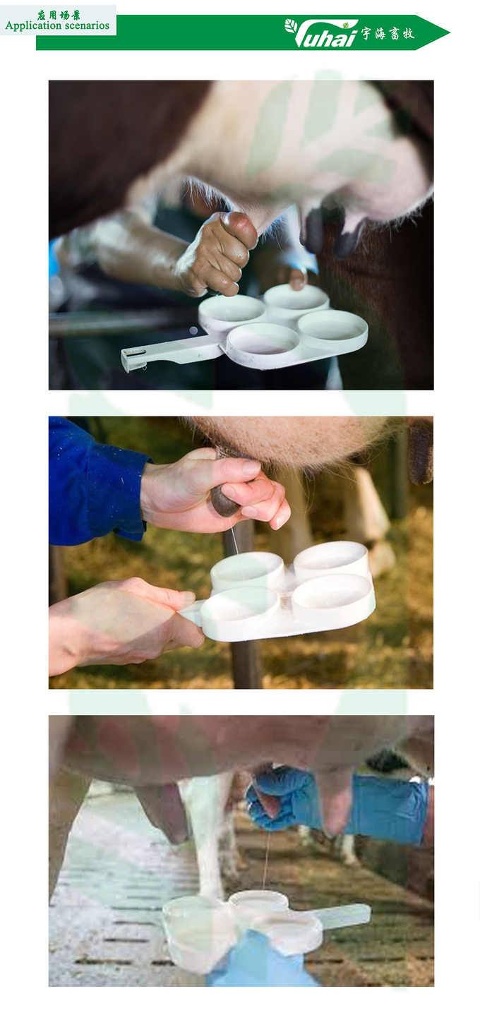 200ml Sample Spoon For Milk Sampling, 4-Cup Mastitis Test Paddle