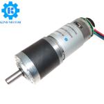 Micro High Torque Low Rpm 22mm 28mm 32mm Dc 6v 12v 24v Planetary Gear Motor
