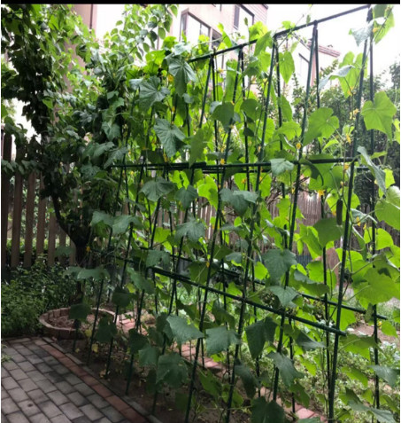 UV-Resistant Anti-Aging FRP Fiberglass Garden Support Stakes High Strength Corrosion-Resistant Replace Wood/Metal
