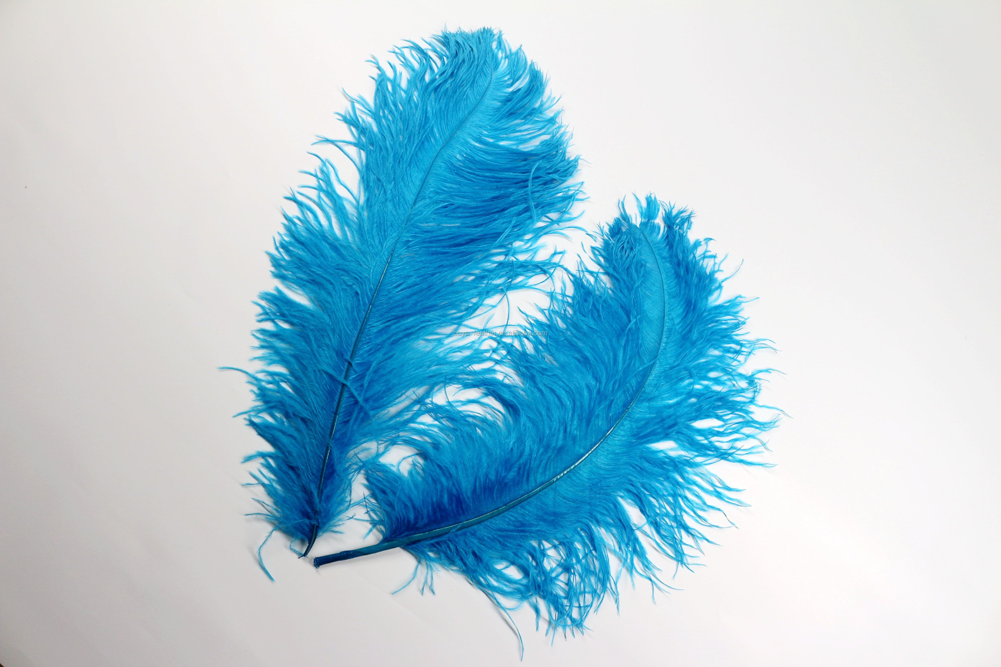 Carnival Costumes Decoration Millinery Feather , Ostrich Plume Feathers Multi Colored