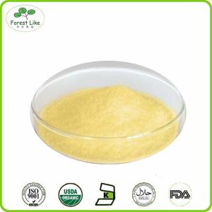 China New product Spray dried jackfruit juice powder wholesale