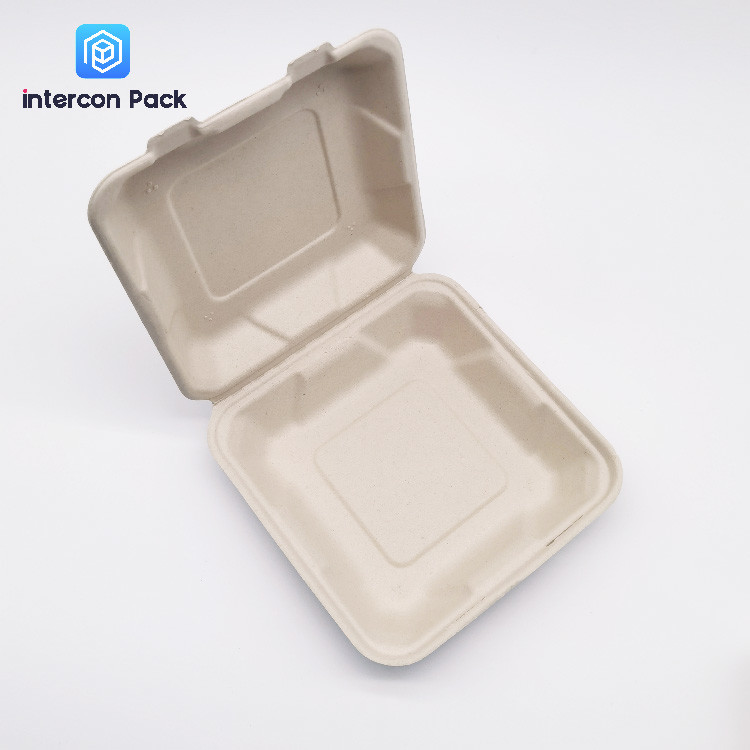 Sugarcane Pulp Bagasse Food Trays Disposable Rectangle Square shape