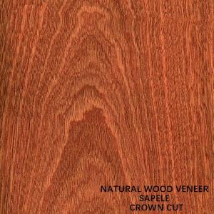 China Paneling And Doors Africa Natural Sapele Wood Veneer Flat Cut Crown Grain AAA Grade wholesale