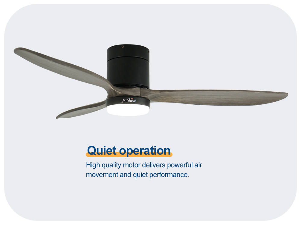 ceiling fan