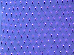 China LED Net Light, LED Wedding Light, LED Holiday Light, LED Christmas Light, LED Decorative Light wholesale