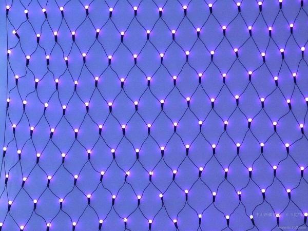 LED Net Light, LED Wedding Light, LED Holiday Light, LED Christmas Light, LED
