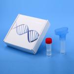 Saliva Collector Saliva Sampler Funnel Shaped Saliva Collector Genetic Testing