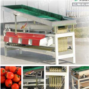China Cherry tomato grading machine YSXT-1C wholesale