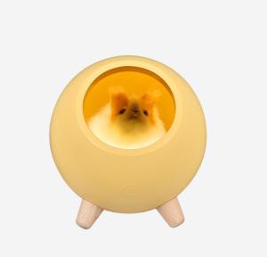 China Kingda 1200MAH Little Pet House Night Light 3 hours Charging wholesale