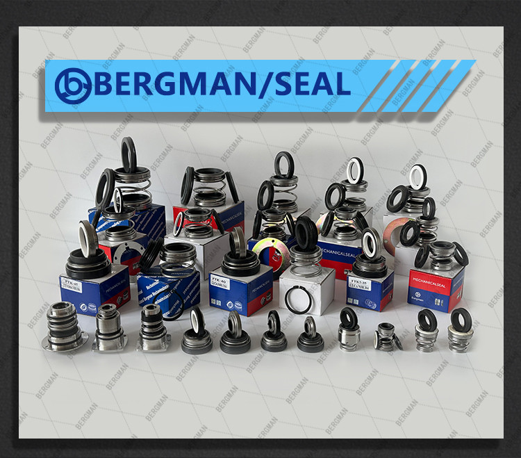 BERGMAN 560A-10 12 14 15 16 18 19 20 22 25 28 30 32 35-80mm Pump Mechanical Seal
