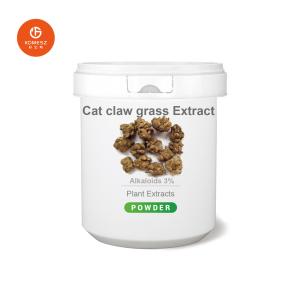 China Ingredient Cat Claw Powder Extracts 3% wholesale