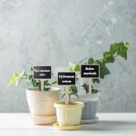 Mini Wooden T-type Plant Labels Garden Plant Markers Chalkboard Stakes Gardening