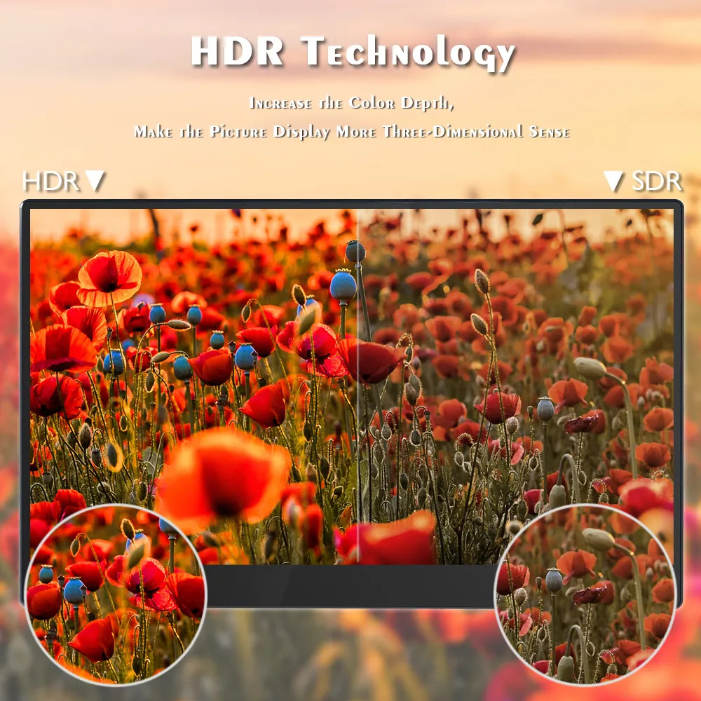 Full HD LCD 13.3inch Portable Monitor Dual Screen IPS Display 1920x1080