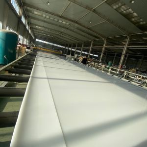 China Outdoor Thermoplastic Polymer Extruded Polypropylene Sheet Thermal Insulation wholesale