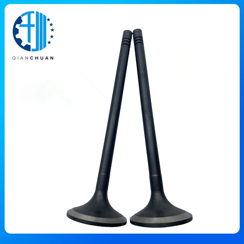 Exhaust Valve WP7 610800050049 For Weichai Truck Engine Part