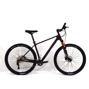 China Speed Lightweight Carbon Fibre Road Bike With Single Speed Gears wholesale