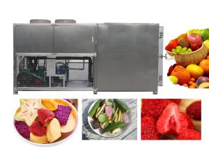 China PLC 100kg Vacuum Freeze Drying Machine 10 Square Meters 33Kw wholesale
