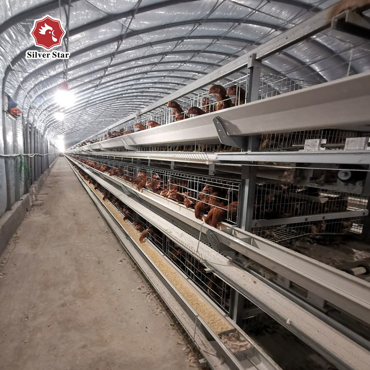 Hot Dipped Galvanized Chicken Farm Cage 5 Layers / Cell