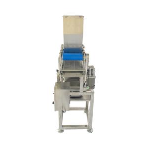 China Automatic Coconut Seeds Spreading Machine 304 Stainless Steel Food Granule Spreader wholesale