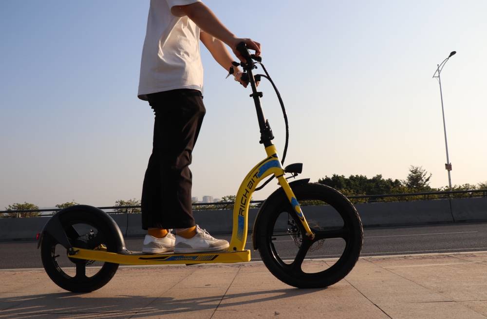 36v 10Ah 2 Passenger Electric Scooter Cycle Lightweight Electric Mobility Scooter