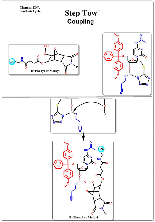 Single-channel Oligo Synthesis Platform Manufacture DNA And RNA In 6-8 Minutes