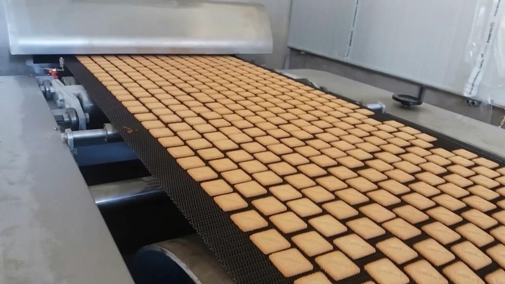 Skywin Soft Biscuit Production Line Rotary Moulder|Biscuit Making Machine Price