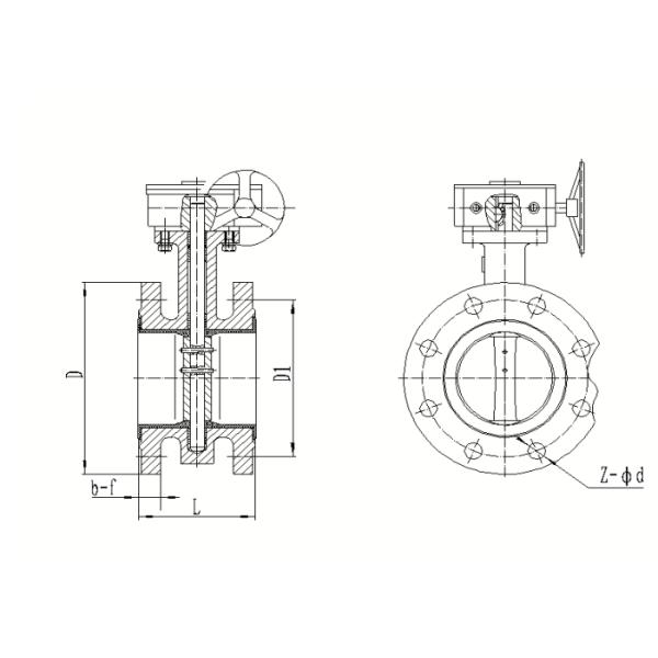 Line Nbr Seal Ring Flanged Butterfly Valve Cast Iron Material 125mm Size