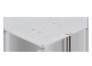 China SMD 5730 730nm Quantum Led Grow Lights For Fruit wholesale