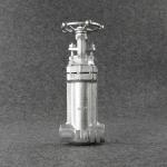 Forged Stainless Steel Bellows Seal Gate Valve Extended Body F304 F316
