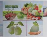 High Definition Flexo Printing Slotting Rotary Die-Cutting Machine