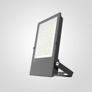 China IK07 LED Flood Light 200W IP66 4000K 5000K Color Changing Outdoor Flood Lights wholesale