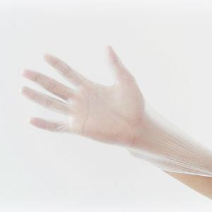 China Multifunctional Garden Working Cleaning Disposable PVC Gloves wholesale
