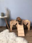 OEM ODM Rabbit Bunny House With Ladder Bunny Box Castle