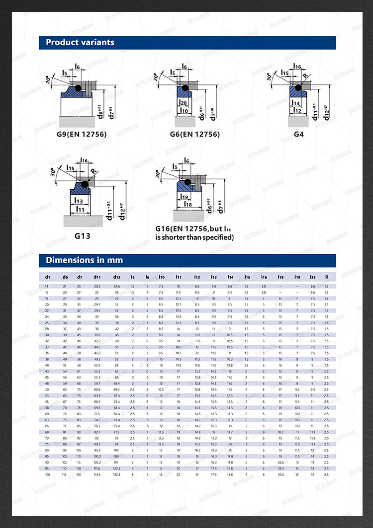 BERGMAN Replaces John Crane 2100-S 12mm-100mm G60 G4 G6 G9 G13 G16 BS Bo BP Pump Mechanical Seal