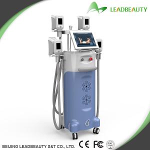 China Newest professtional stubborn fat loss mahcine Cryolipolysis wholesale