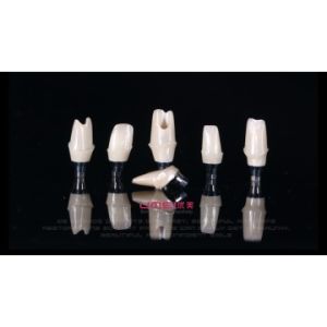 China Custom Zirconia Implant Abutment wholesale