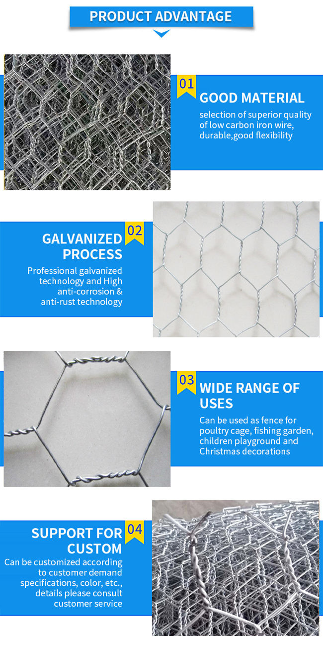 Small Hole Bwg19 Chicken Mesh Fence Coop Galvanized Wire Rolls