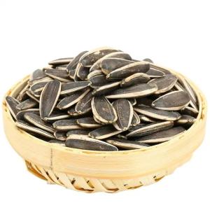 China Sunflower Seeds S3 The Yield Solution for Your Business wholesale
