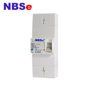 China Nbse RCBO Earth Leakage Miniature Circuit Breaker Adjustable Current DDC230 wholesale