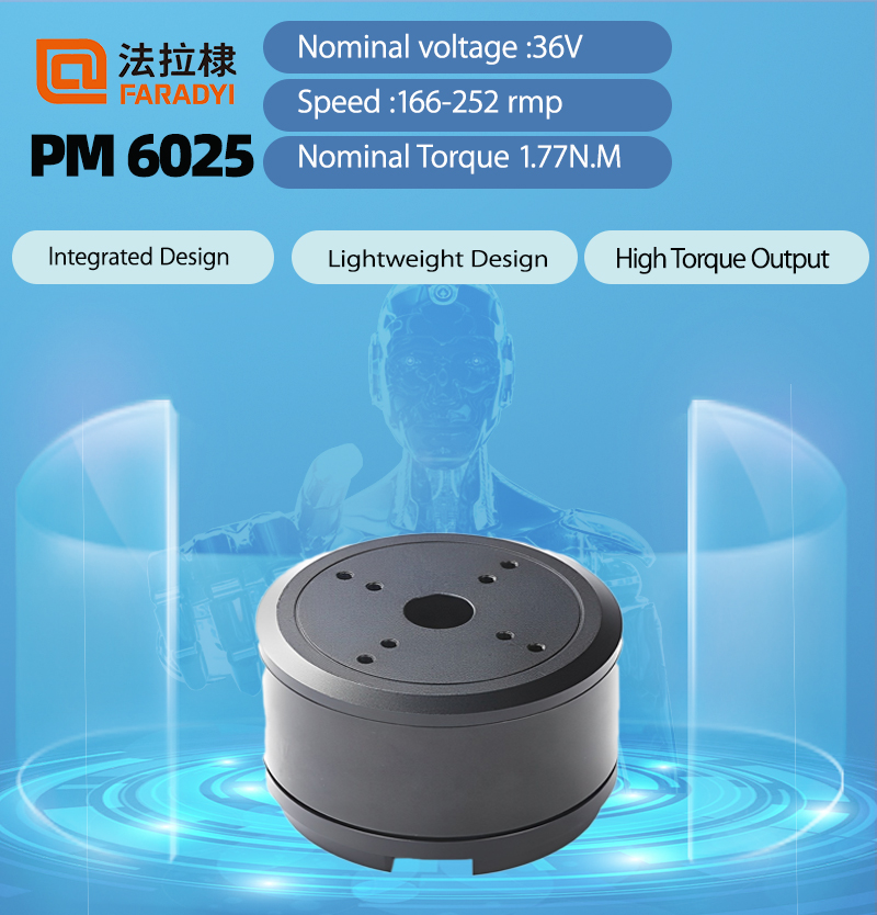 Faradyi High Quality Permanent Magnet 36V PM 6025 Brushless Bldc ExternalRotor Innerrotor Gimbal Motor For Robot Arm Joint